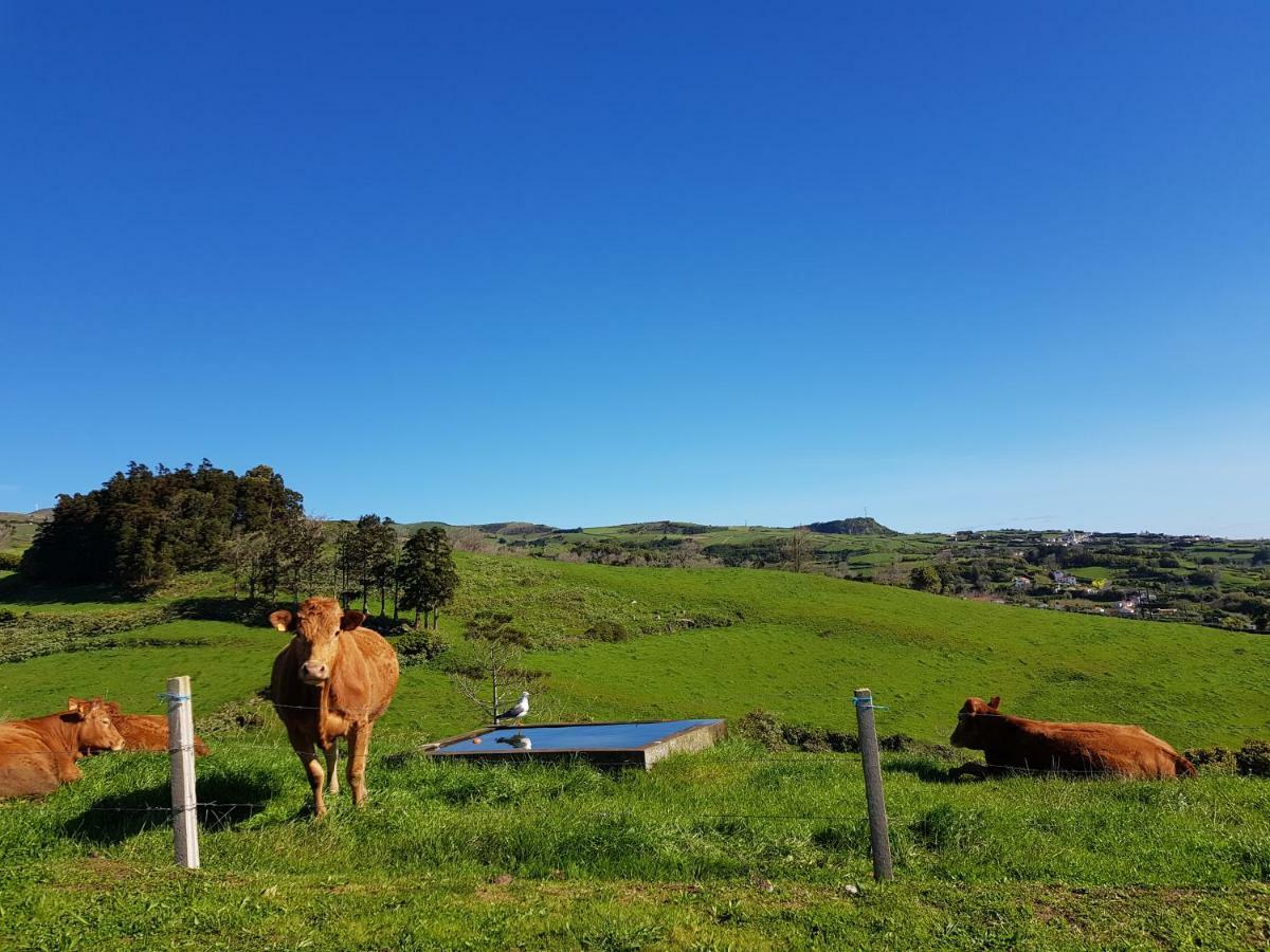 Quinta Do Calvario Lajes das Flores ภายนอก รูปภาพ